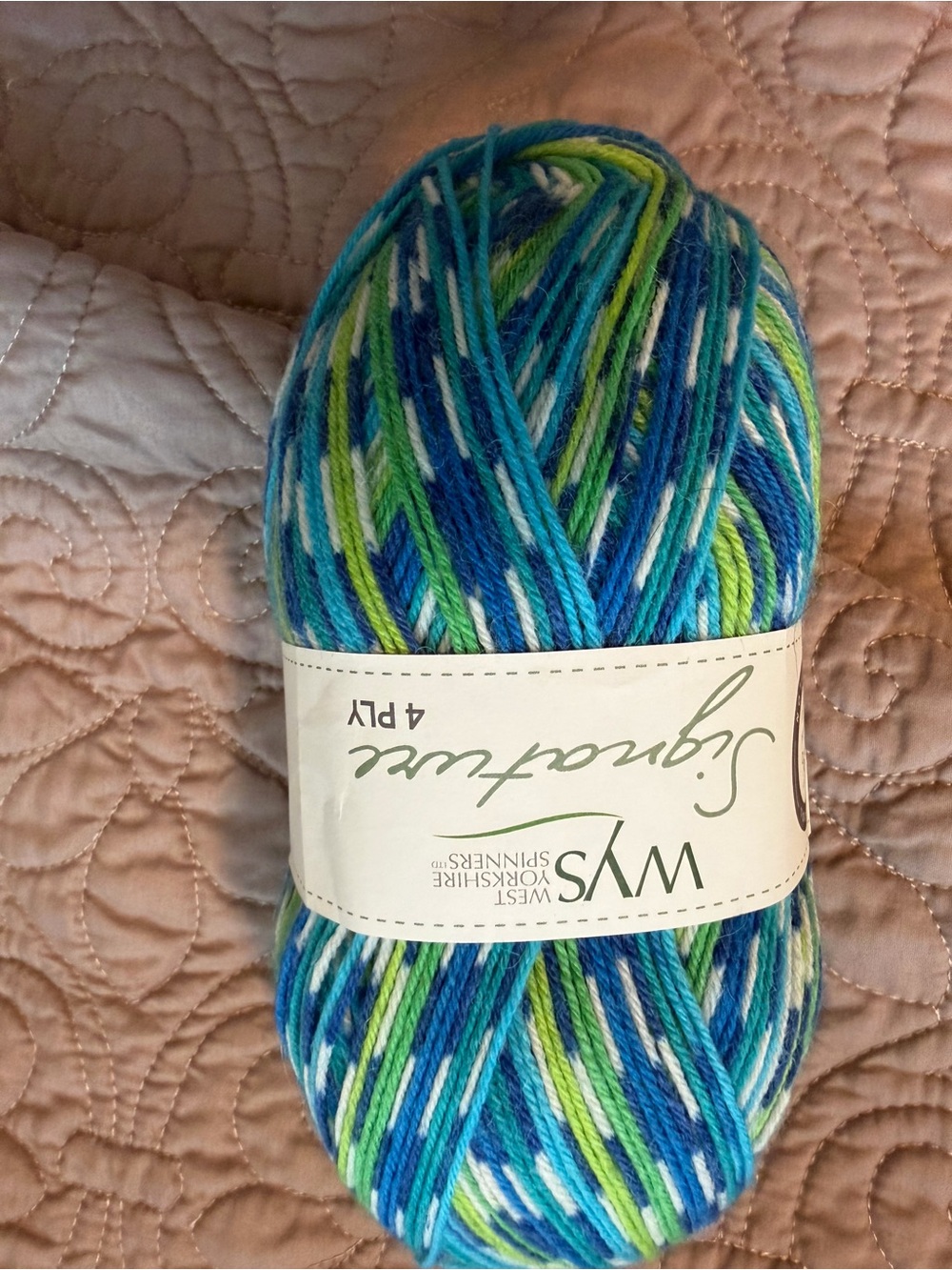WYS Signature 4-Ply Variegated Yarn in Blue/Green/White